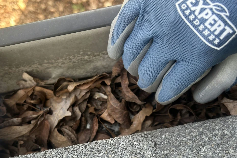 Gutter Cleaning Brusly