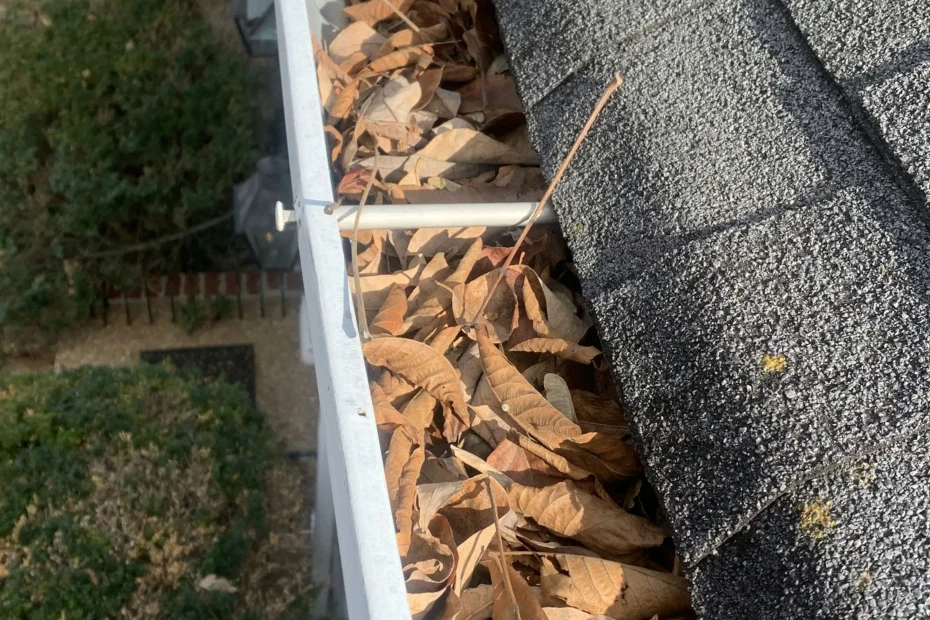 Gutter Cleaning Brusly